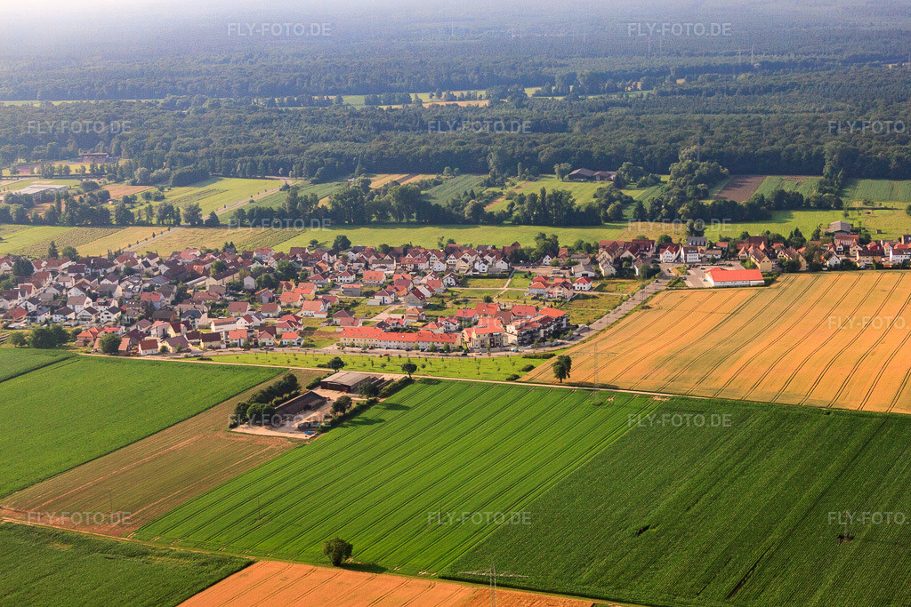 Luftbild: Am Höhenweg in Kandel im Bundesland Rheinland-Pfalz in Deutschland. Foto: IMG_50954.jpg vom 04.07.2012 durch Werner Riehm/FLY-FOTO.de