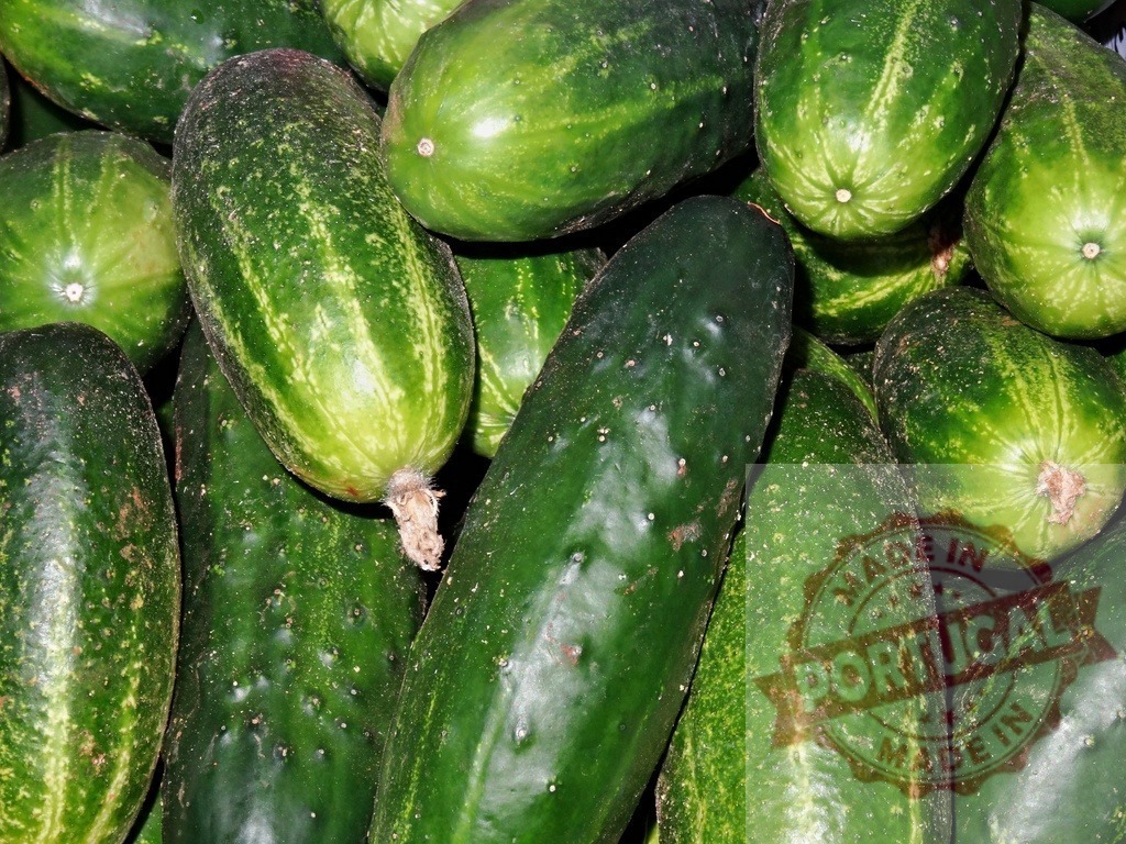 Fresh green cucumbers forming a natural food background | Ripe green cucumbers harvested, showing organic raw vegetables close-up - Realisiert mit Pictrs.com