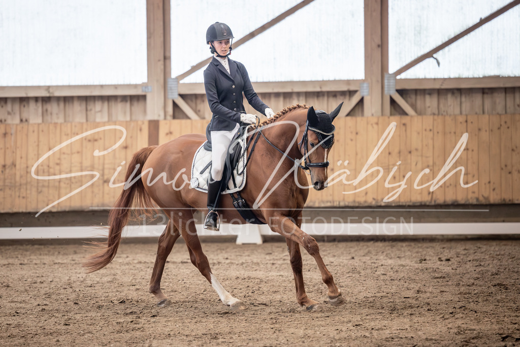 20251011-_3LI0173 | Tierfotografie Pferde, Hunde, Katzen, Haustiere.
Turnierfotografie Reitturniere, Reiten, Springreiten, Dressur in Hanau, dem Main-Kinzig-Kreis und dem Rhein-Main- Gebiet um Frankfurt