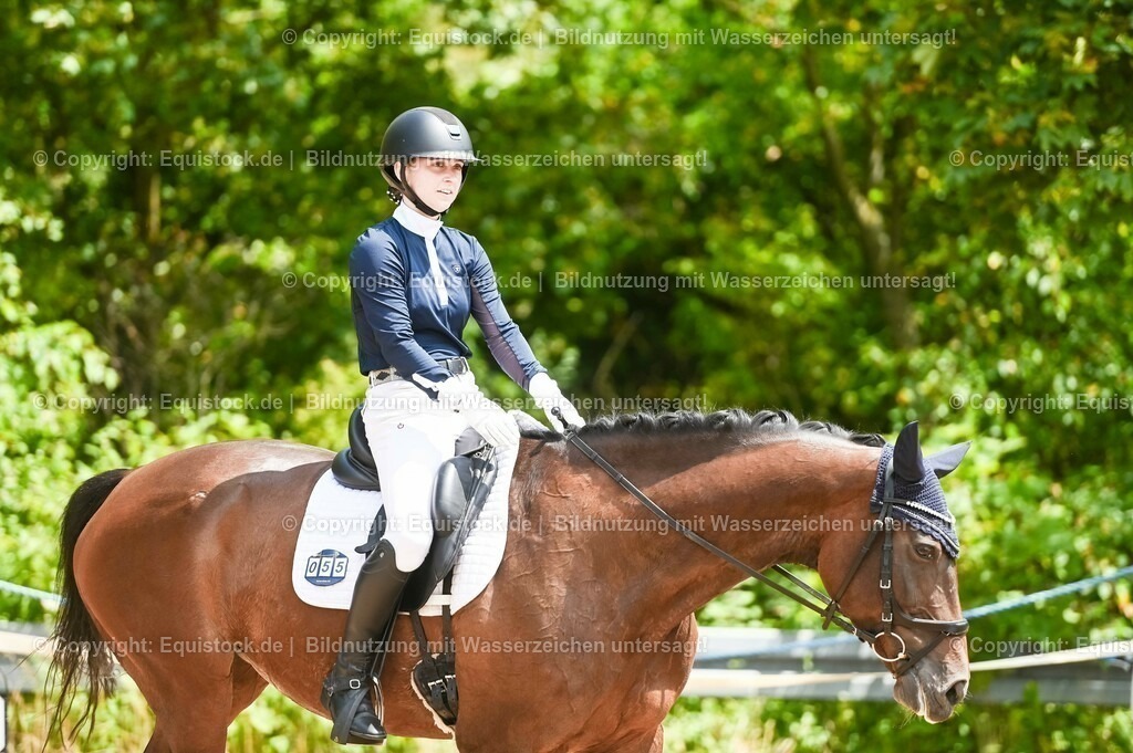 20230716_03_Dressurprfg. Kl.L - Tr._0295 | equistock