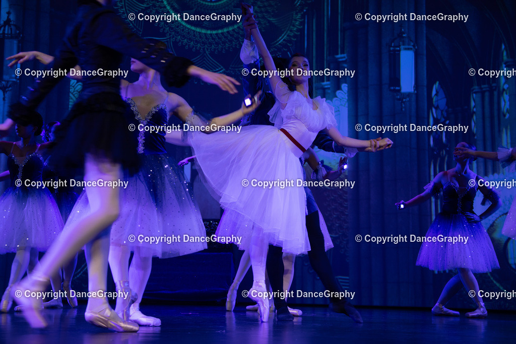 GPHY2662 | DanceGraphy - Realisiert mit Pictrs.com