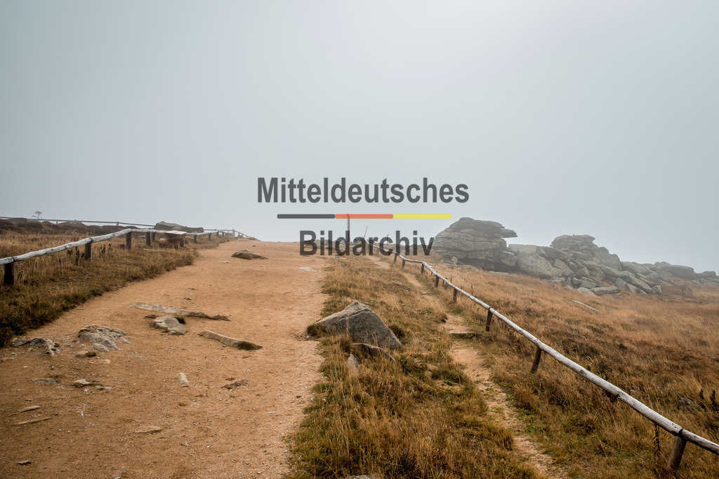 innerdeutsche Grenze Grünes Band Brocken Ilsenburg Eckerntal-9918 | Die innerdeutsche deutsch-deutsche Grenze, das Grüne Band - Realisiert mit Pictrs.com