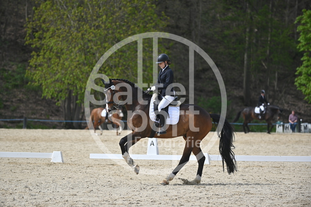 DSC_4212 | sattelsport - Realisiert mit Pictrs.com