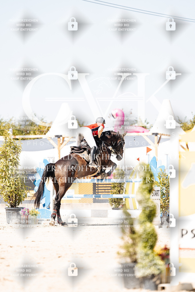 CK909715 | Turnierfotografie Pferdefotografie Trier Rheinland-Pfalz Pferdesport Reitsport Tierfotografie Sportfotografie Pferdevideo Pferdevideografie Equestrianvideography equestrianphotography  - Realisiert mit Pictrs.com