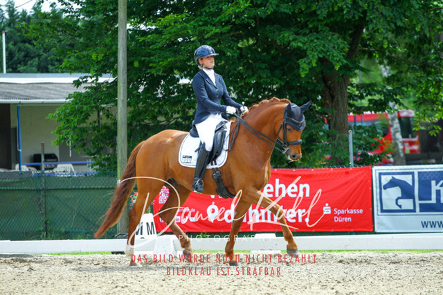 DKP41207 | Turnierfotos kaufen im Webshop von Daniel Kuhl Photography – entdecke professionelle Reitsportfotos aus Turnieren & Events. Hochwertige Turnierbilder online bestellen & sichern. Jetzt Fotos von Reitsportturnieren kaufen!
