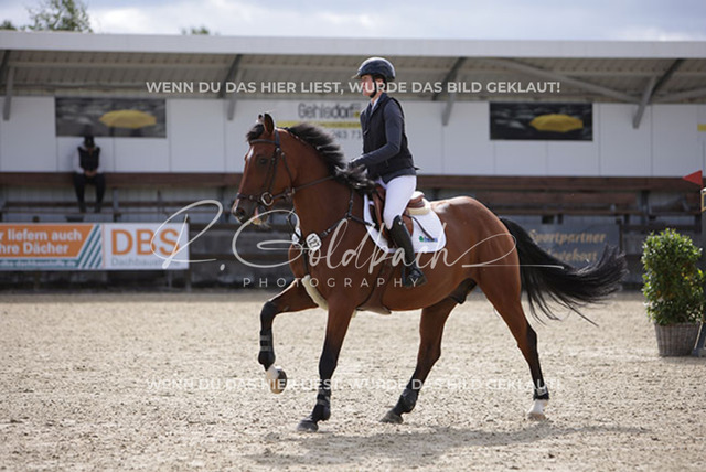 1J2A2340Linn Hamann_ Cas Hope 4_ Kn127_ Havekost | Foto- und Videografie für alles rund ums Pferd. Hochwertige Bilder und Videos vom Spring- und Dressurreiten, Voltigieren & mehr. Jetzt aktuelle Veranstaltungen und Preise im Shop ansehen. - Realisiert mit Pictrs.com