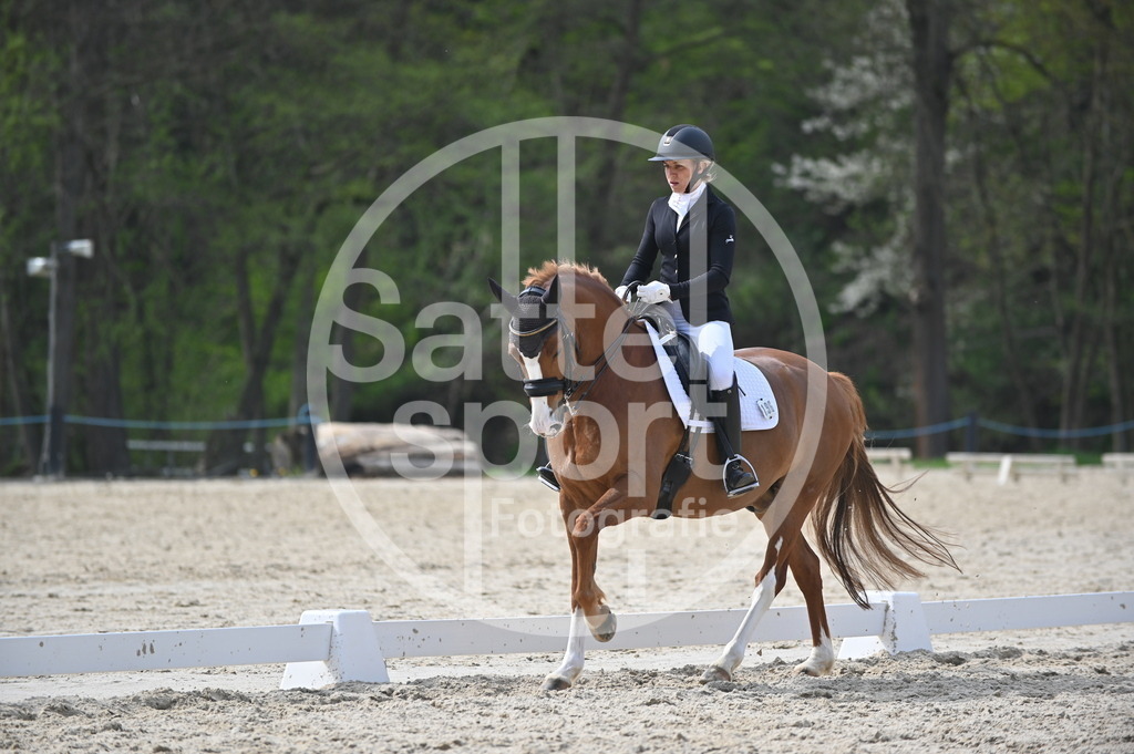 DSC_4625 | sattelsport - Realisiert mit Pictrs.com