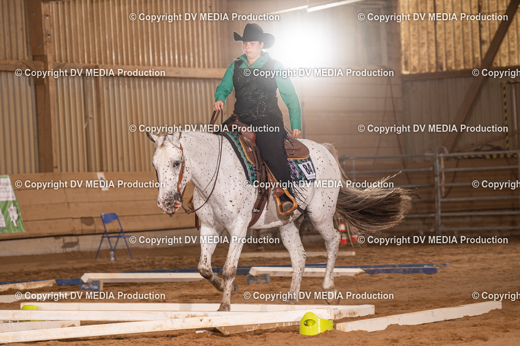 NID00671 | dv-media-shop - Realisiert mit Pictrs.com