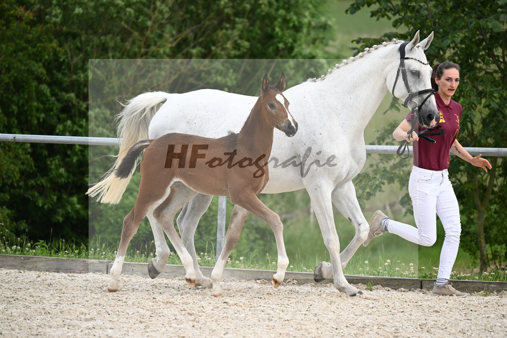 Diacord x Ciacomini_SF_Trukenbrod_20241154 | hf-fotografie - Realizzato con Pictrs.com