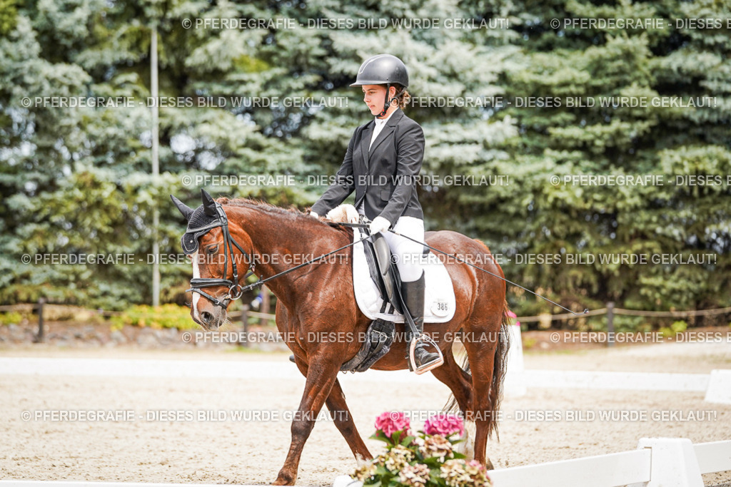 DSC04424 | Pferdegrafie