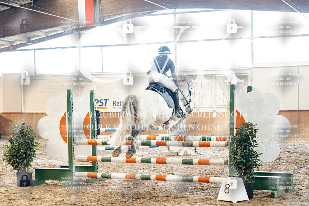 CK904841 | Turnierfotografie Pferdefotografie Trier Rheinland-Pfalz Pferdesport Reitsport Tierfotografie Sportfotografie Pferdevideo Pferdevideografie Equestrianvideography equestrianphotography  - Realisiert mit Pictrs.com