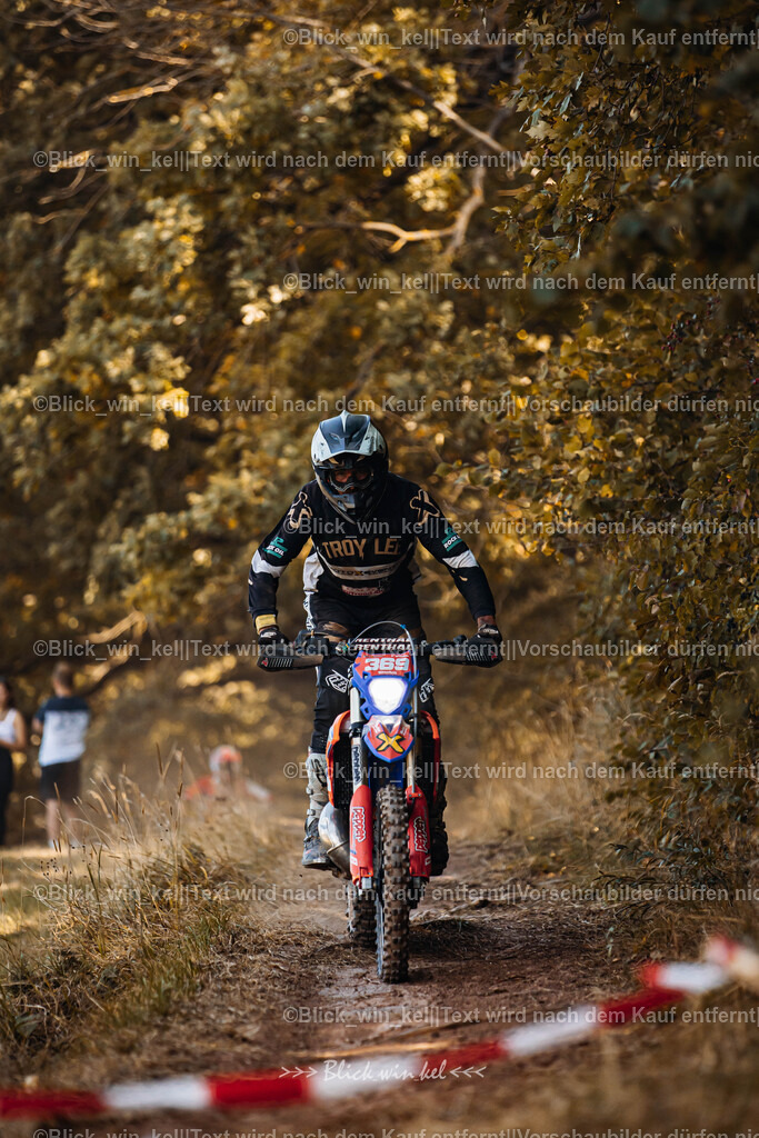 E68A6353 | blick_win_kel