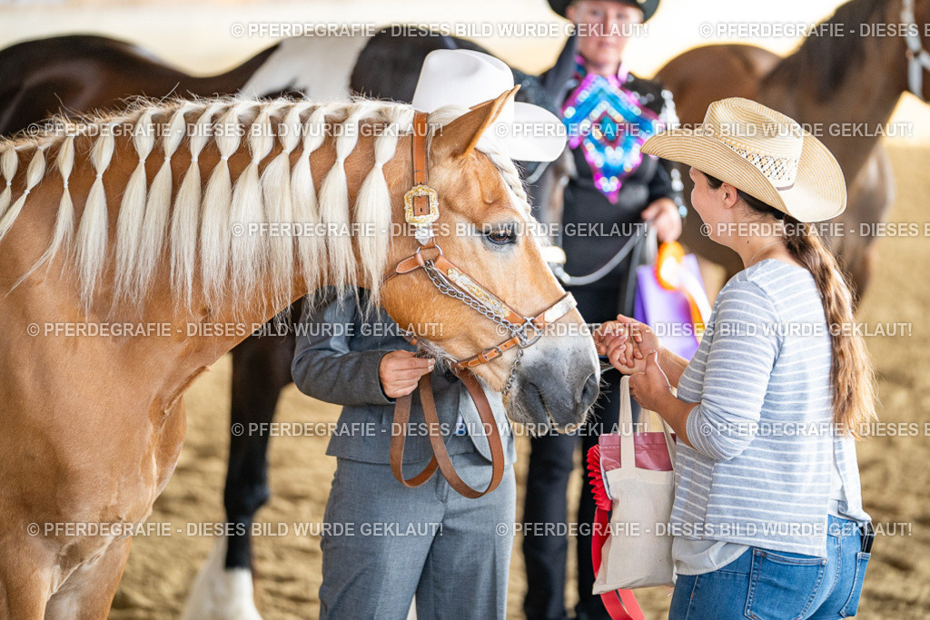 DSC07643 | Pferdegrafie