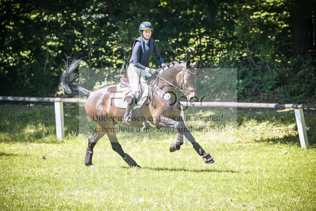 DOS_2737 | Entdecke hochwertige Reitturnierfotos von Foto Oger. Professionell, emotional und authentisch – jetzt Lieblingsmomente im Shop bestellen.Deutschlandweite Turnierfotografie. - Realisiert mit Pictrs.com