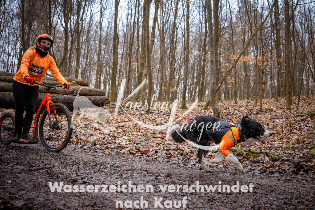 0848_ZZ94809 | kk-dogfotos