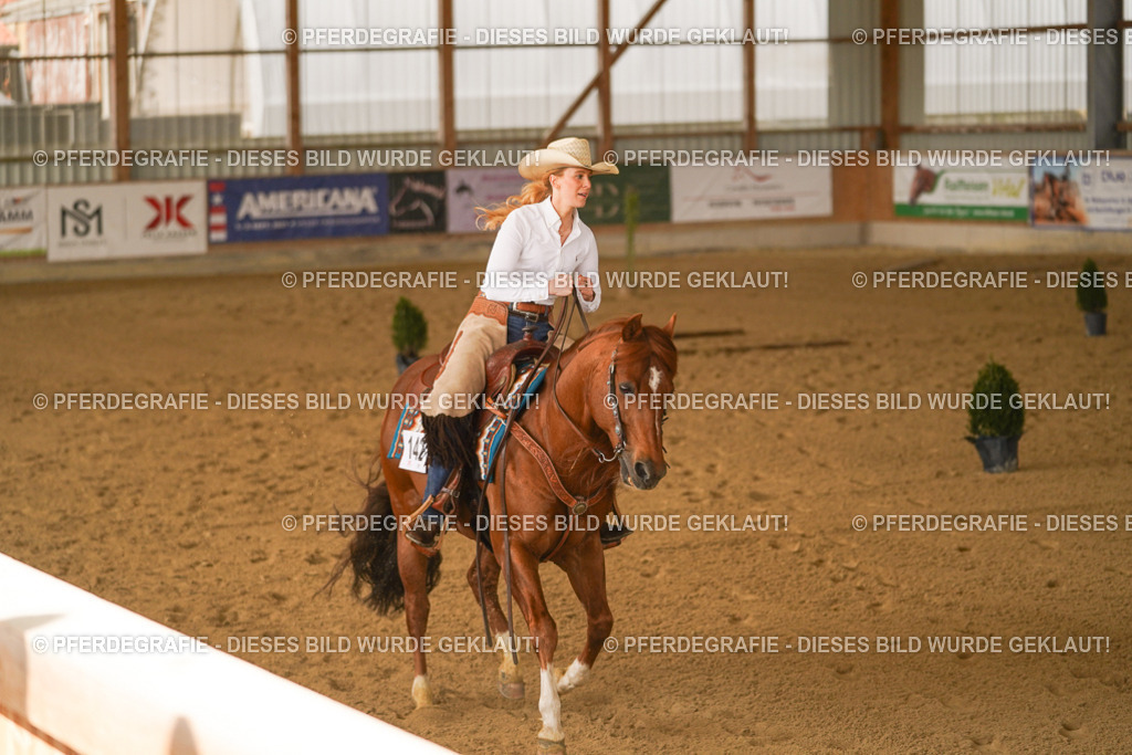 DSC02449 | Pferdegrafie