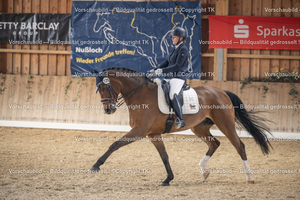 _D5A5979 | Emotionale Pferde- & People-Fotografie rund um Heidelberg, Leimen & Umgebung. Natürliche Fotos von Pferd, Mensch & Familie. Jetzt Termin sichern!