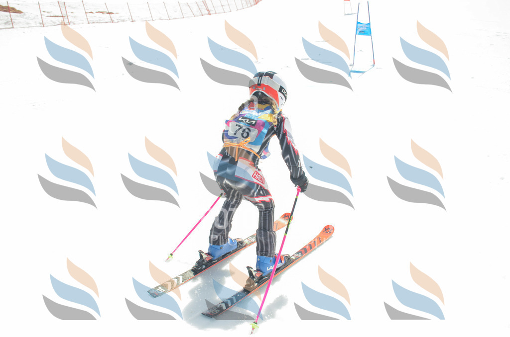 _ELE5504 | holidayphoto