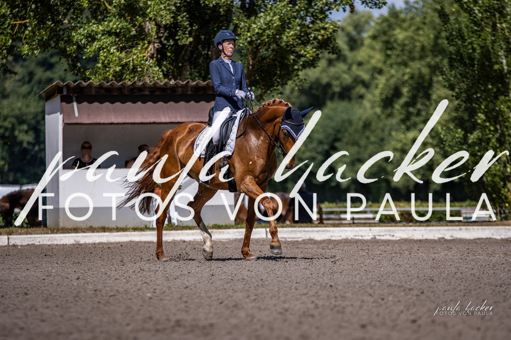 IMG_8061 | Erleben Sie dynamische Sport- und emotionale Tierfotografie in Süddeutschland mit Fotos von Paula. Spezialisiert auf Pferde- und Hundefotografie sowie Sportevents. Kontaktieren Sie mich für einzigartige und ausdrucksstarke Bilder Ihrer besonderen Momente. - Realisiert mit Pictrs.com