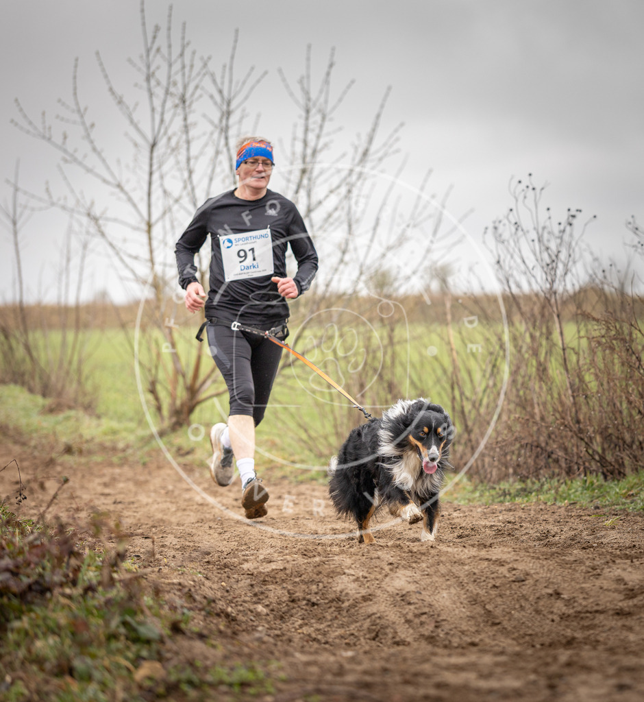 DV3A9992 | Hundefotografie, Tierfotograf, Pfotenfotografie, Fotoshooting Hund, Hunde Portrait, Hundesport, Hundeportraits, Heideshooting, Hunde, Sportfotograf, Hundefotograf, Turnierhundsport, THS,  - Realisiert mit Pictrs.com