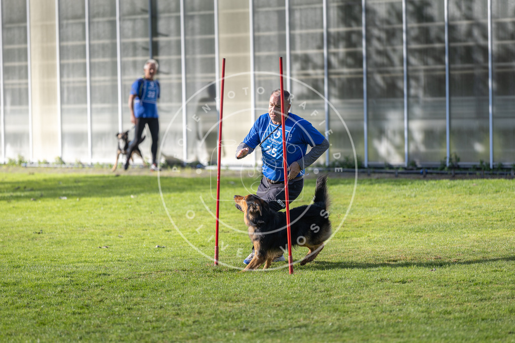 Pfotenfotografie.de_DV3A3313 | Hundefotografie, Tierfotograf, Pfotenfotografie, Fotoshooting Hund, Hunde Portrait, Hundesport, Hundeportraits, Heideshooting, Hunde, Sportfotograf, Hundefotograf, Turnierhundsport, THS, canicross - Realisiert mit Pictrs.com