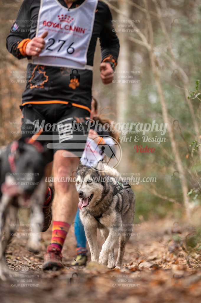 SPA_2023_DIM_CCK-50 | PayLife