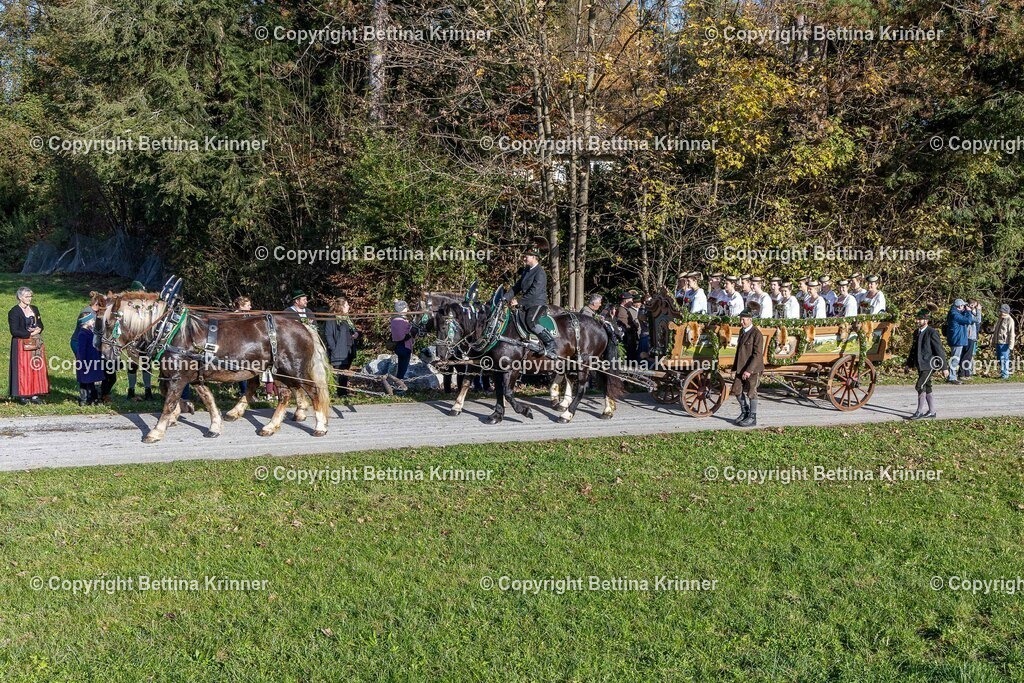 LBT24-471 | foto-bettina-krinner - Realisiert mit Pictrs.com