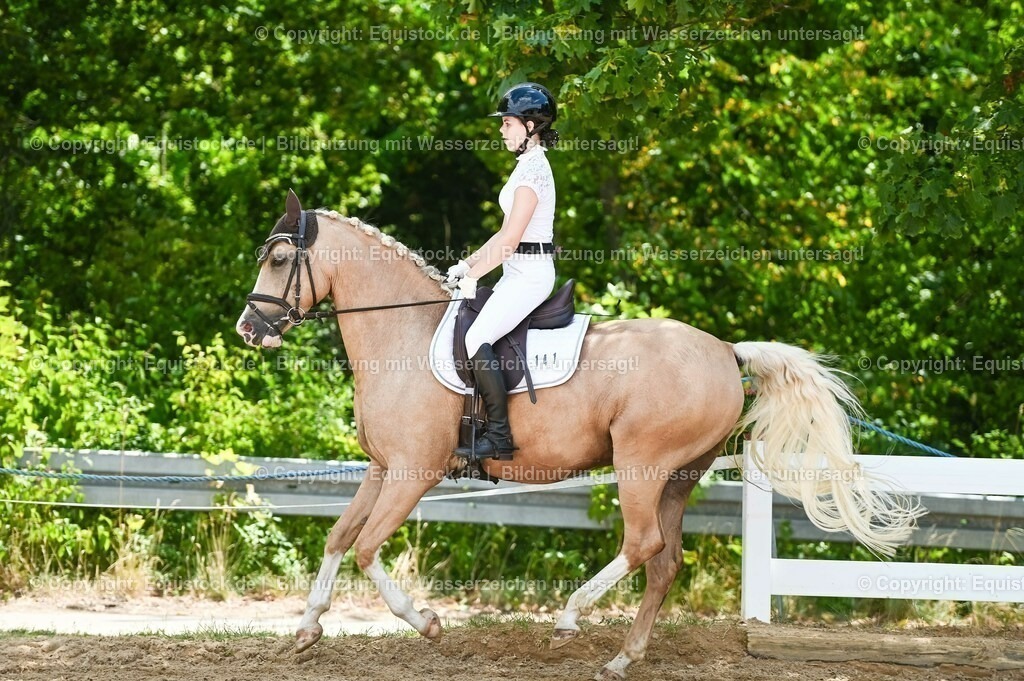 20230715_09_Dressur-WB_0501 | equistock