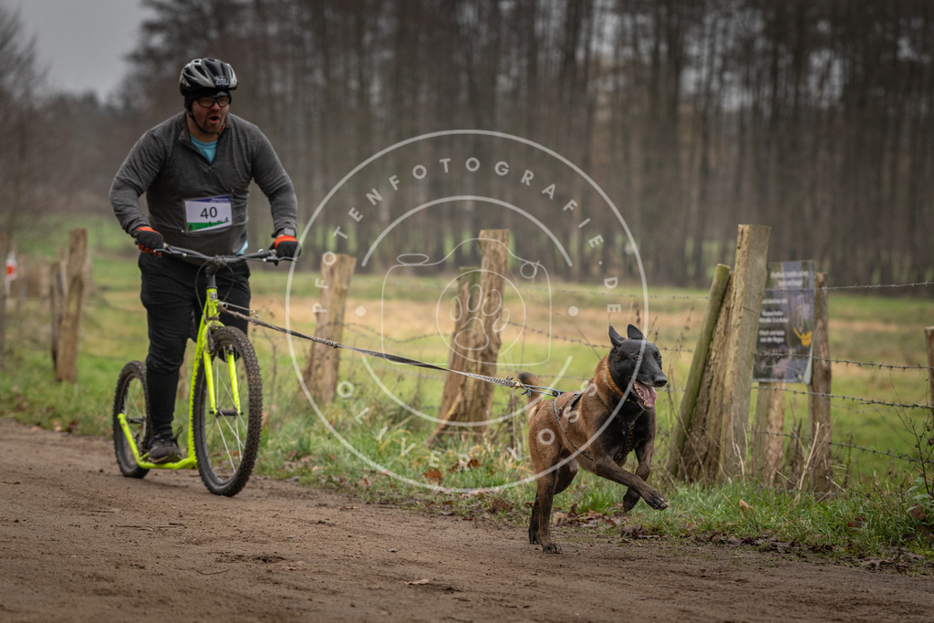 Pfotenfotografie_DV3A2581 | Hundefotografie, Tierfotograf, Pfotenfotografie, Fotoshooting Hund, Hunde Portrait, Hundesport, Hundeportraits, Heideshooting, Hunde, Sportfotograf, Hundefotograf, Turnierhundsport, THS,  - Realisiert mit Pictrs.com