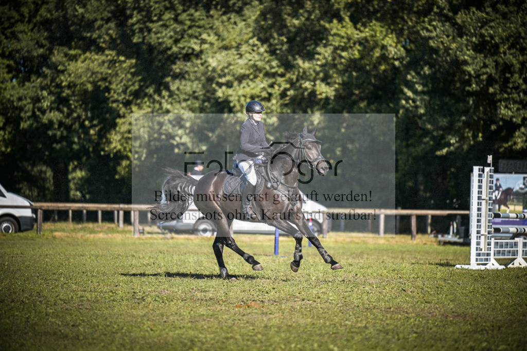 DOS_0312 | Entdecke hochwertige Reitturnierfotos von Foto Oger. Professionell, emotional und authentisch – jetzt Lieblingsmomente im Shop bestellen.Deutschlandweite Turnierfotografie. - Realisiert mit Pictrs.com