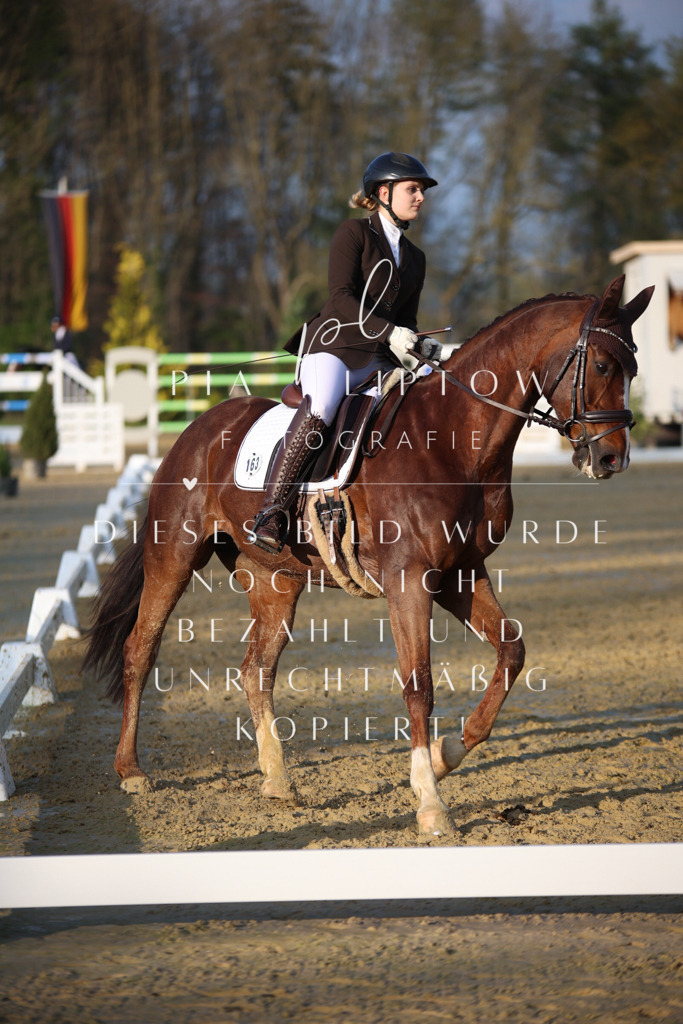 IMGT9237 | pl-fotografie