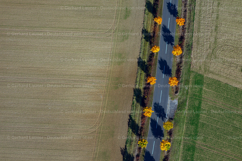 3294508 | Baumallee bei Thundorf