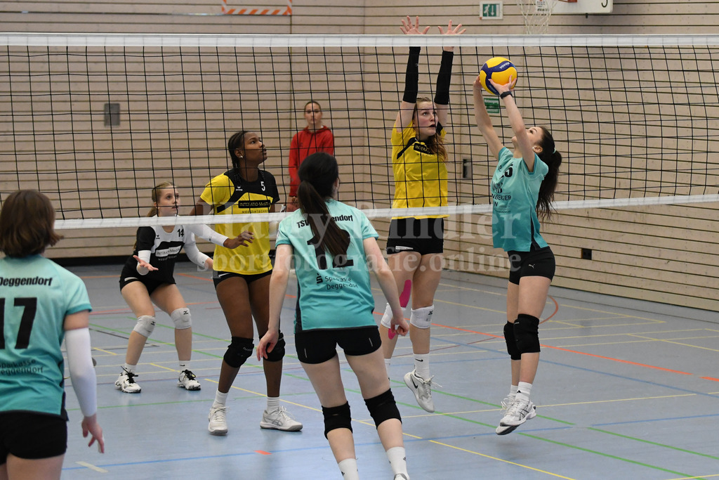 TSV Deggendorf Damen  : FC Ruderting | TSV Deggendorf Damen Volleyball - Realisiert mit Pictrs.com