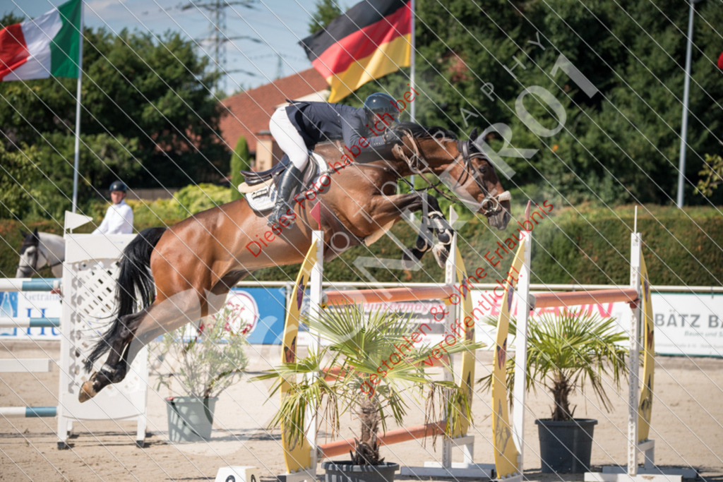 DSC_3244 | Sport-, Event- und Tierfotos in Profiqualität. Einfach auswählen, bestellen und herunterladen. Dein Moment – perfekt festgehalten.