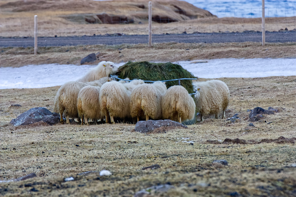 IMG_1710a | ansichtssache