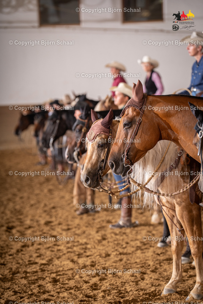 LMB04881 | BS-foto
