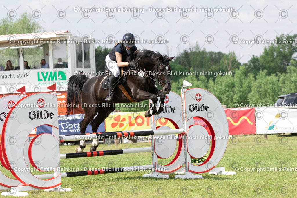 CL5A3101 | Emilia Reinking Fotografie - Realisiert mit Pictrs.com