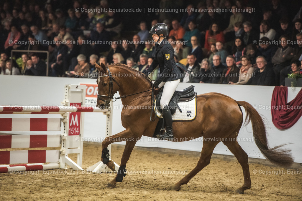 20240302_Hengstvorstellung_Marbach_TOMsPiC_1358 | equistock