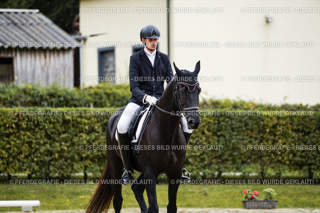 DSC09411 | Pferdegrafie