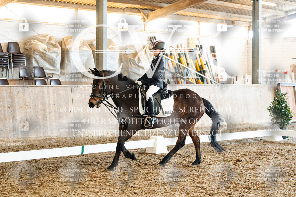 CK900545 | Turnierfotografie Pferdefotografie Trier Rheinland-Pfalz Pferdesport Reitsport Tierfotografie Sportfotografie Pferdevideo Pferdevideografie Equestrianvideography equestrianphotography  - Realized with Pictrs.com