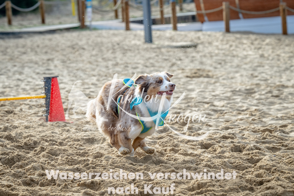 0929_ZZ92506 | kk-dogfotos