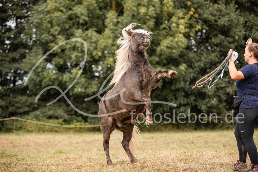 846A3826 | fotosleben - Realisiert mit Pictrs.com