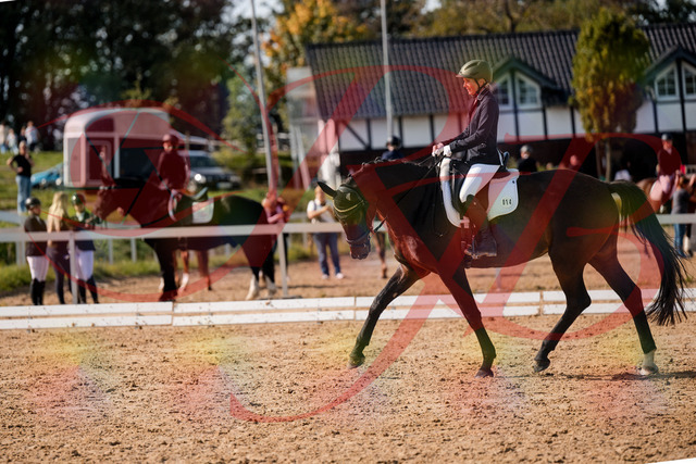 2026_10_03_Siefer-Hof_133640_Z63_97404171 | Professionelle Reitsport-, Turnier- und Eventfotografie von Robert Broda. Galerien mit ausgewählten und bearbeiteten Bildern direkt online ansehen und bestellen.