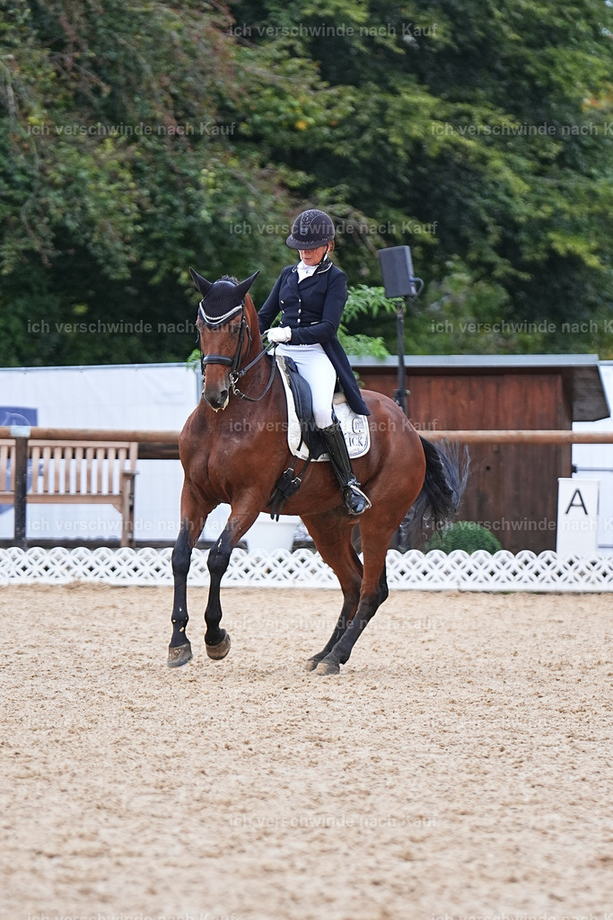 12-072-DRESSUR  S___  -Marixx-5245 | working equitationturnier fotograf videograf stoibphotography marixx film working equitation deutschland reitsport turnierfotografie eventfotografie equestrian events