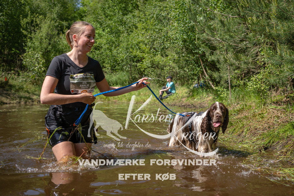 1503DKK992281 | kk-dogfotos