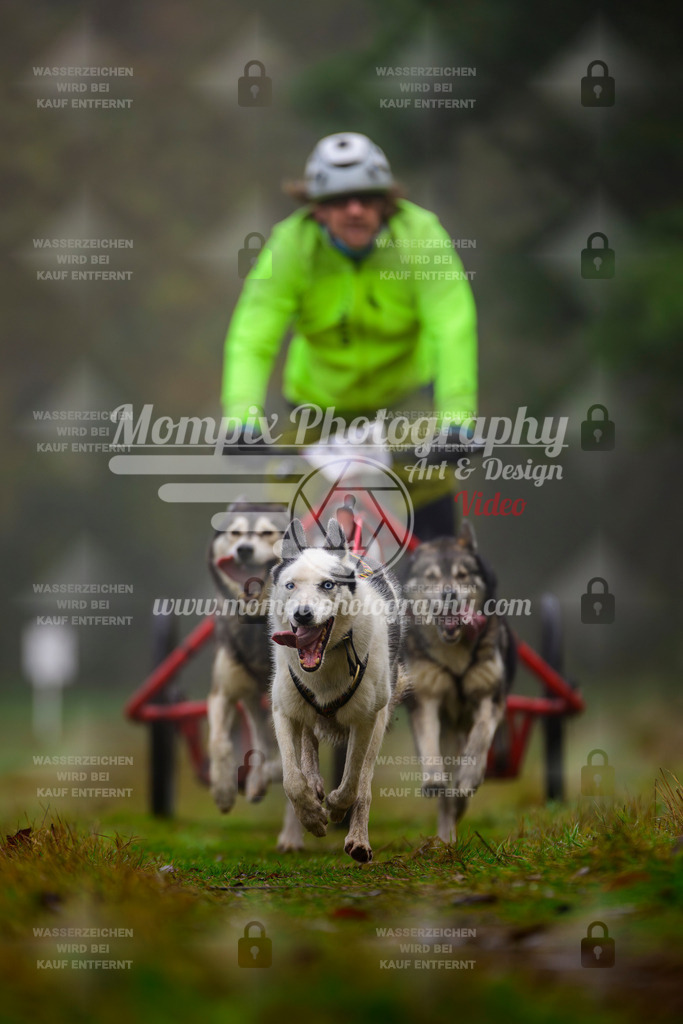 MompixPhotography_Bischwiller2025_Kart-26 | mompixphotography