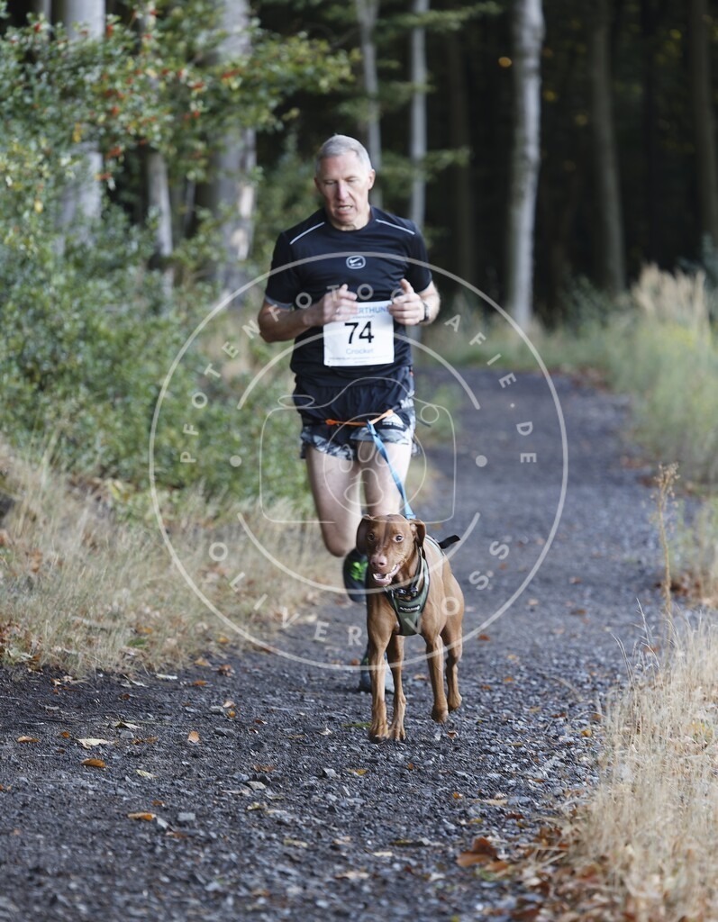 0L8A2006 | Hundefotografie, Tierfotograf, Pfotenfotografie, Fotoshooting Hund, Hunde Portrait, Hundesport, Hundeportraits, Heideshooting, Hunde, Sportfotograf, Hundefotograf, Turnierhundsport, THS,  - Realisiert mit Pictrs.com