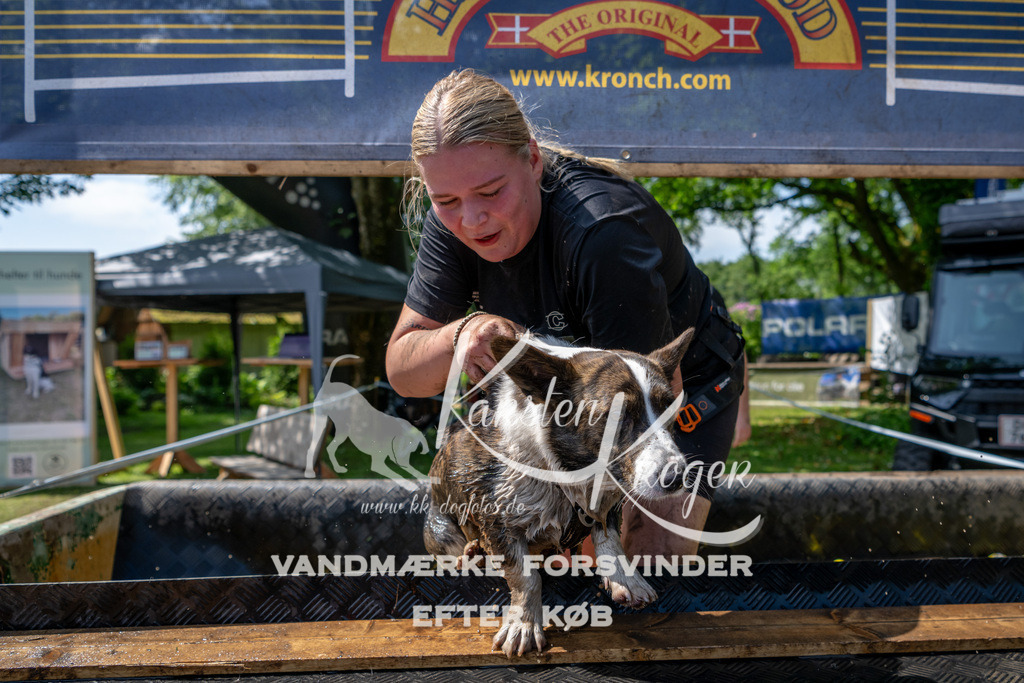 1202_ZZ90209 | kk-dogfotos