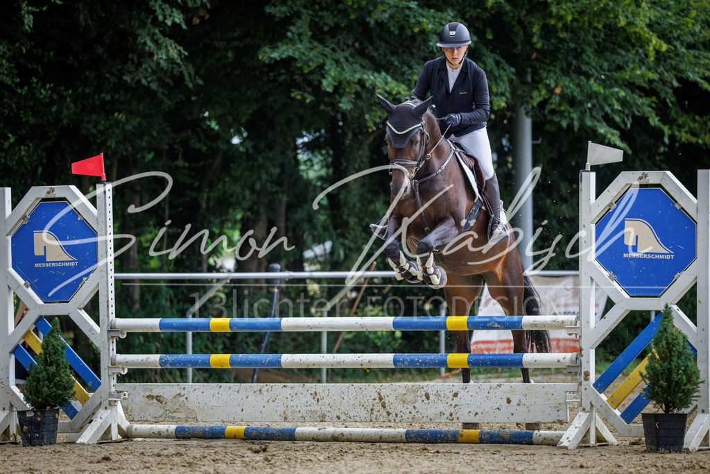 20260705-_3LI5167 | Tierfotografie Pferde, Hunde, Katzen, Haustiere.
Turnierfotografie Reitturniere, Reiten, Springreiten, Dressur in Hanau, dem Main-Kinzig-Kreis und dem Rhein-Main- Gebiet um Frankfurt