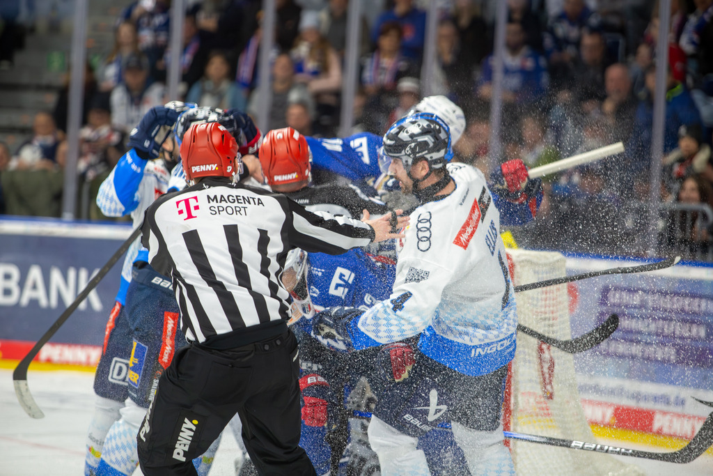 DEL, Deutsche Eishockey Liga Saison 2024/25, 44. Spieltag: Adler Mannheim gegen ERC Ingolstadt***Die Rangelei zog keine Strafen nach sich | DEL, Deutsche Eishockey Liga Saison 2024/25, 44. Spieltag: Adler Mannheim gegen ERC Ingolstadt***Die Rangelei zog keine Strafen nach sich - Realisiert mit Pictrs.com